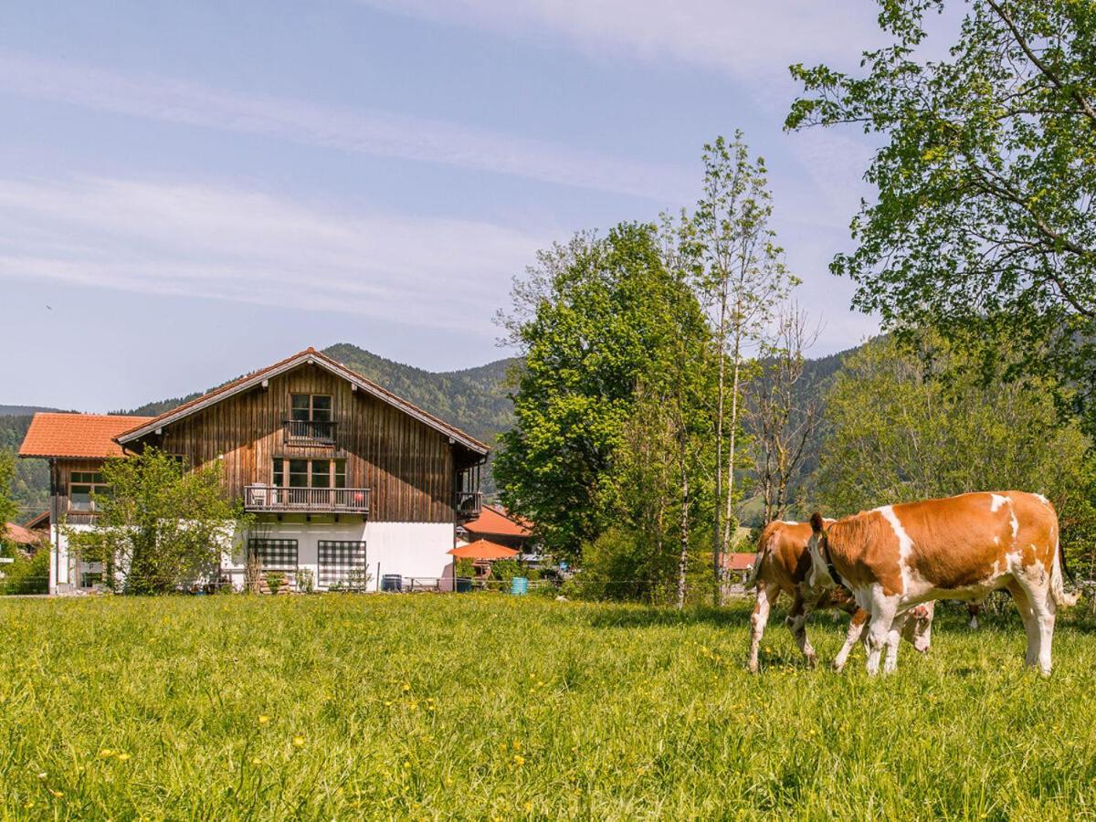 Alpen Chalet Alte Talstation レンクグリース エクステリア 写真